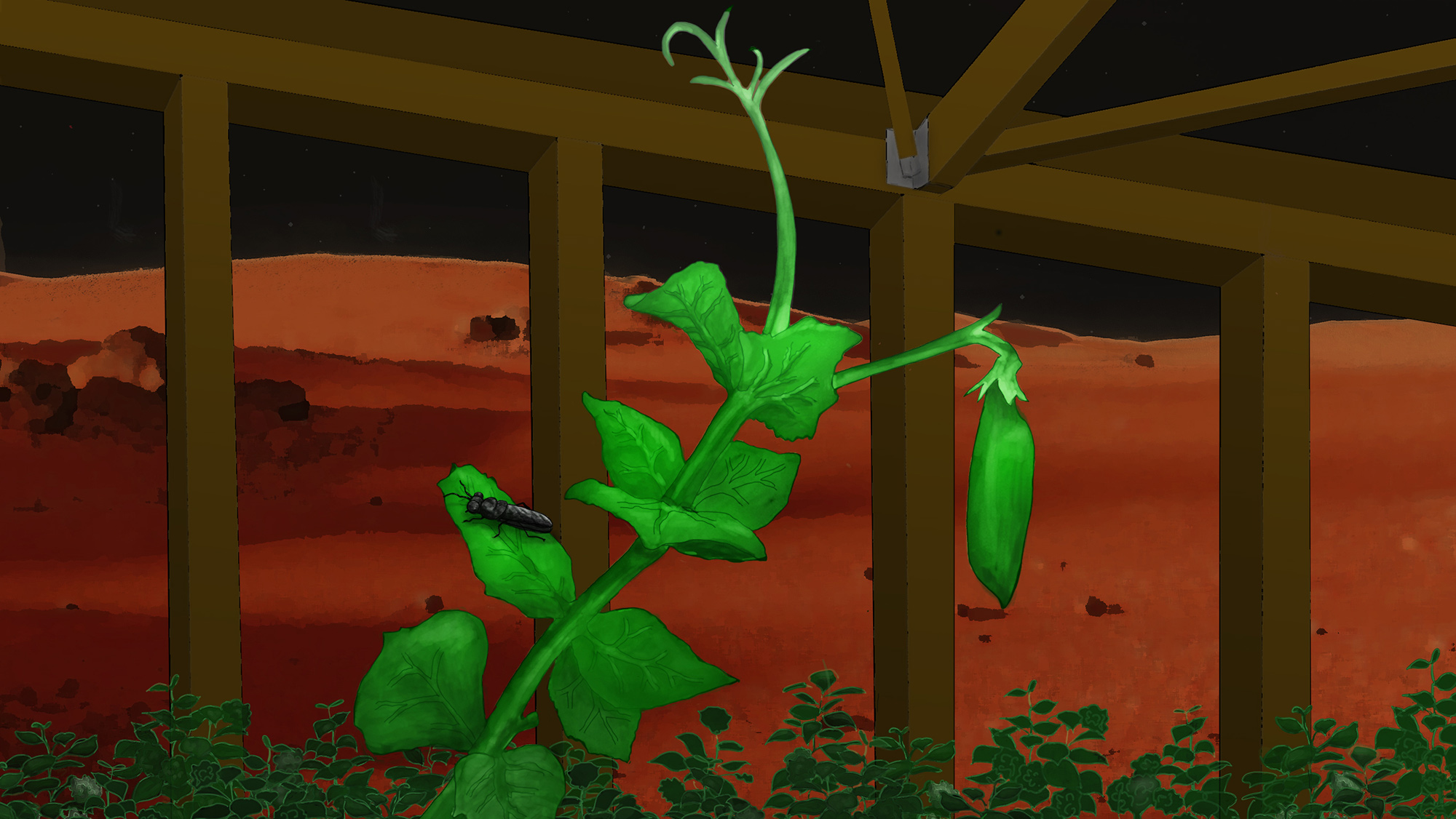 A graphic of a pea plant An illustration of a pea plant in a greenhouse on mars.