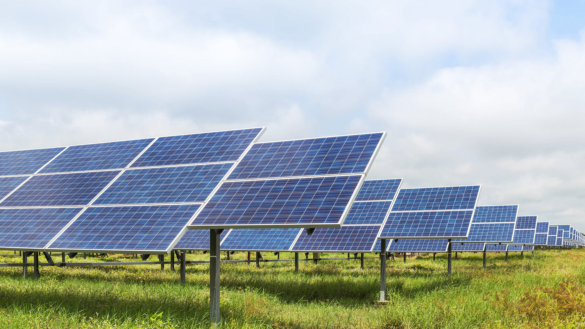 A field of solar panels.