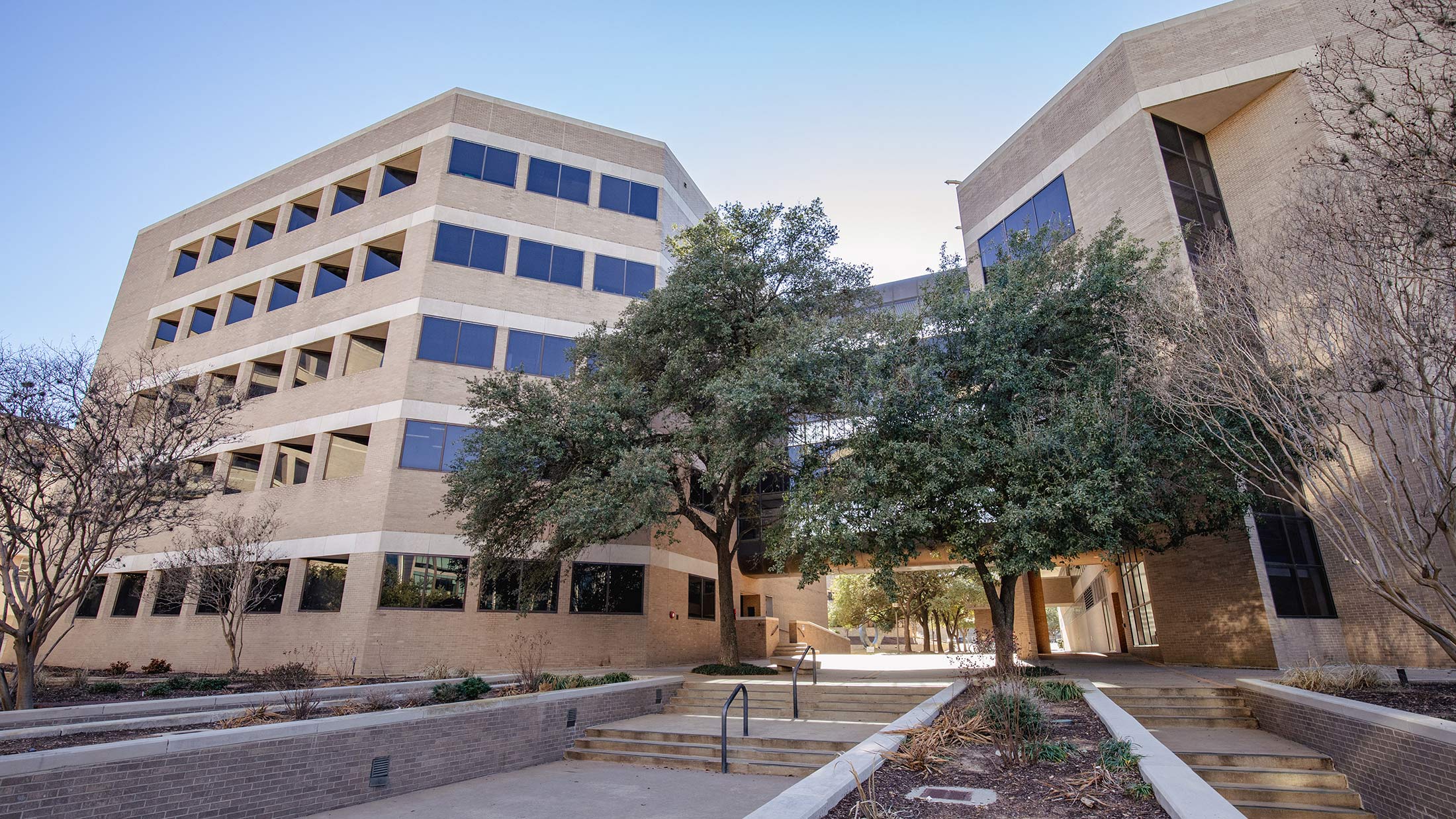 A building and a tree.