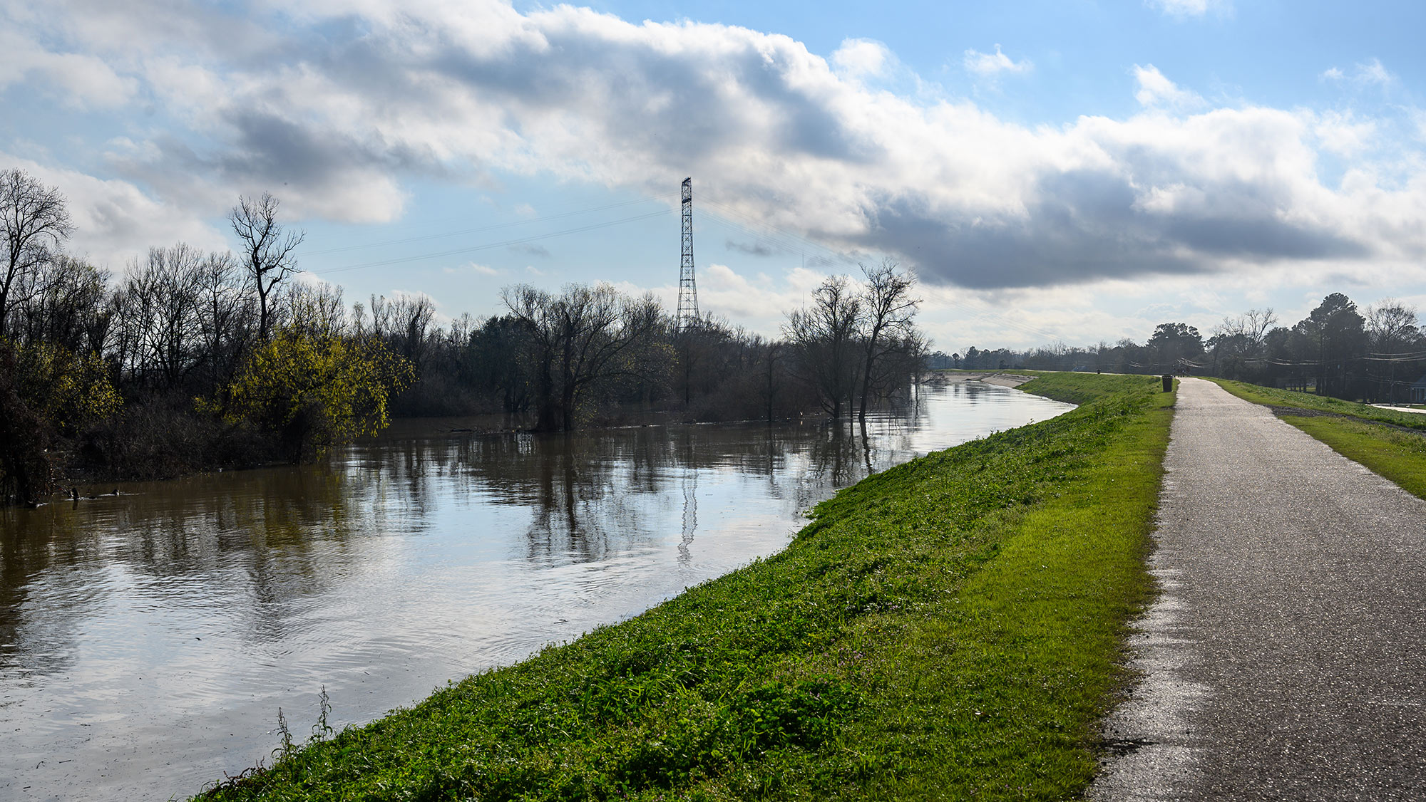 Paved bike path on top of earthen dike levee along the Mississippi River in Louisiana.
