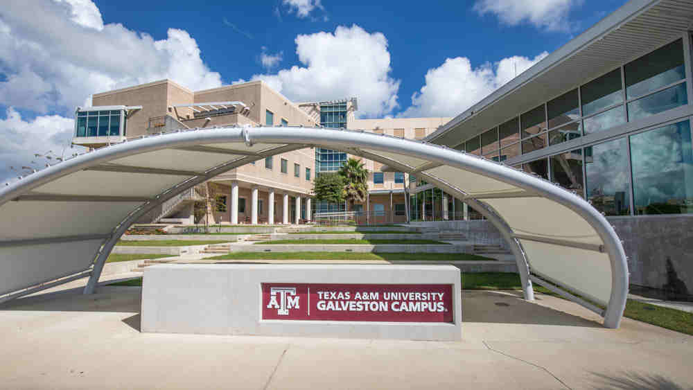 Texas A&amp;M University at Galveston